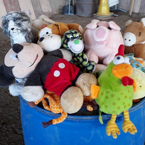 les peluches doivent retrouver leur maison